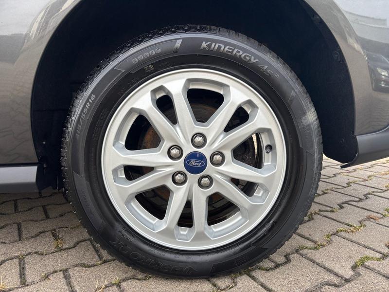 Ford Grand Tourneo · Trend · Bild 17