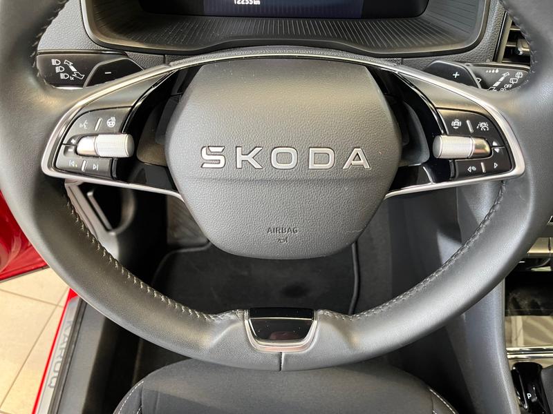Skoda Karoq · Tour · Bild 19