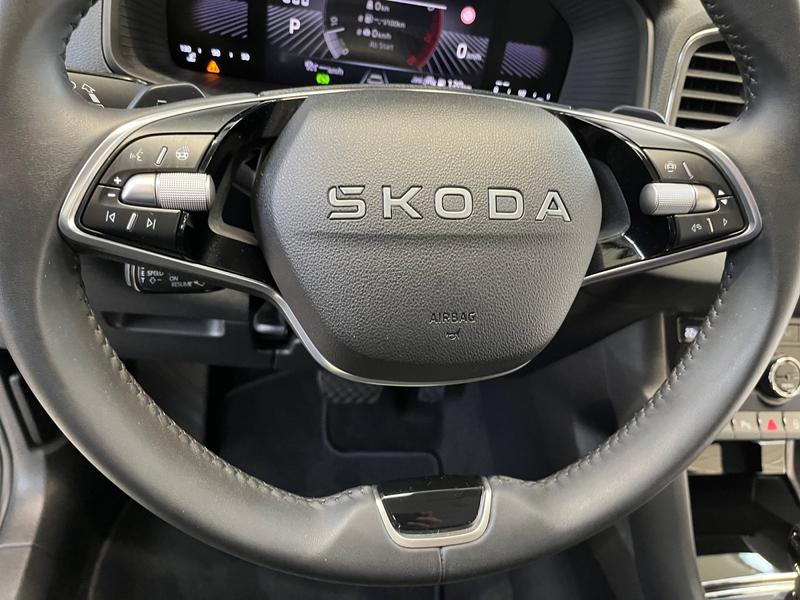 Skoda Karoq · Tour · Bild 21