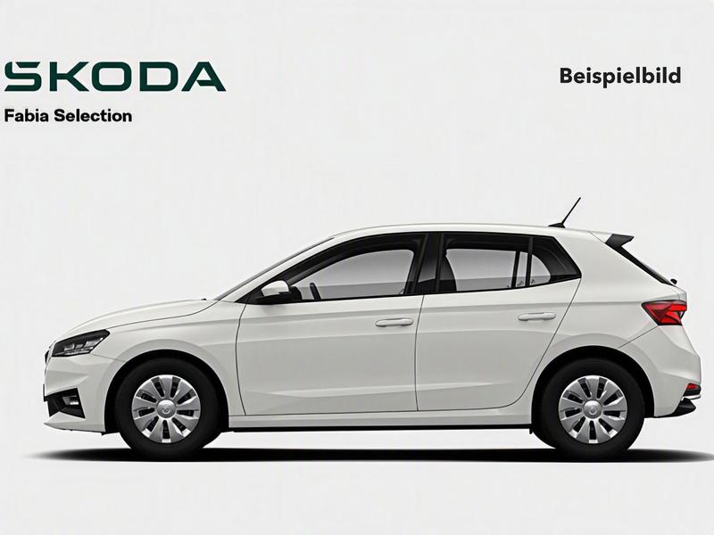 Skoda Fabia · Selection