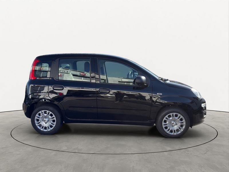 Fiat Pandina