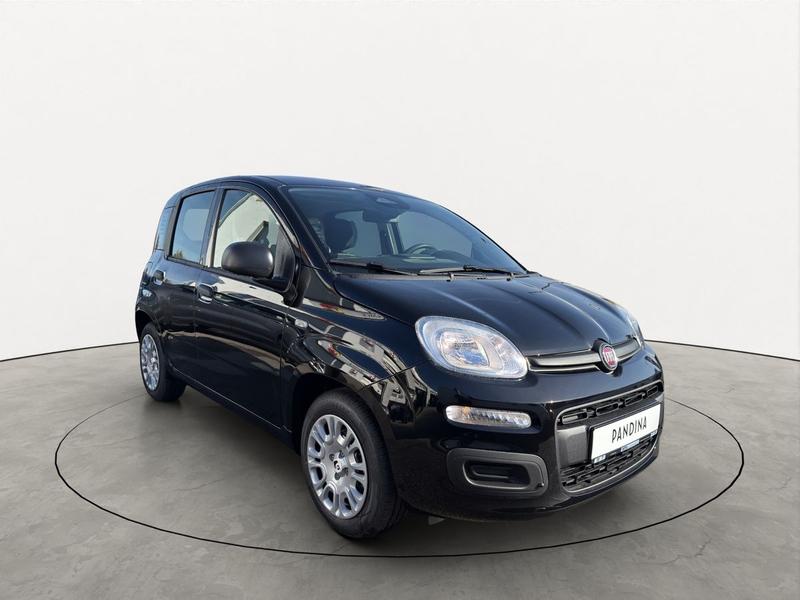 Fiat Pandina