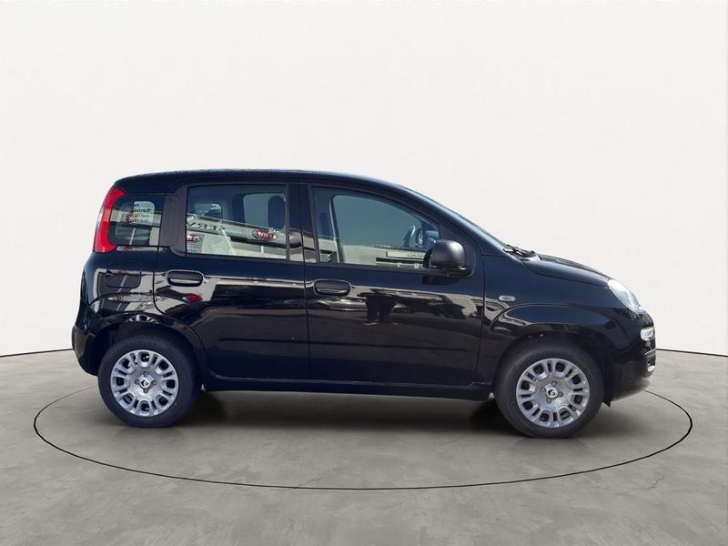 Fiat Pandina