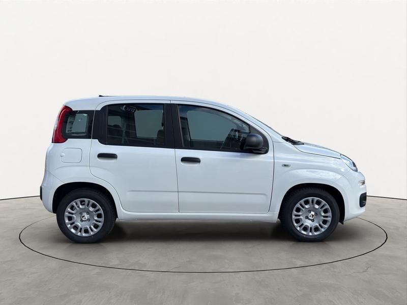 Fiat Pandina
