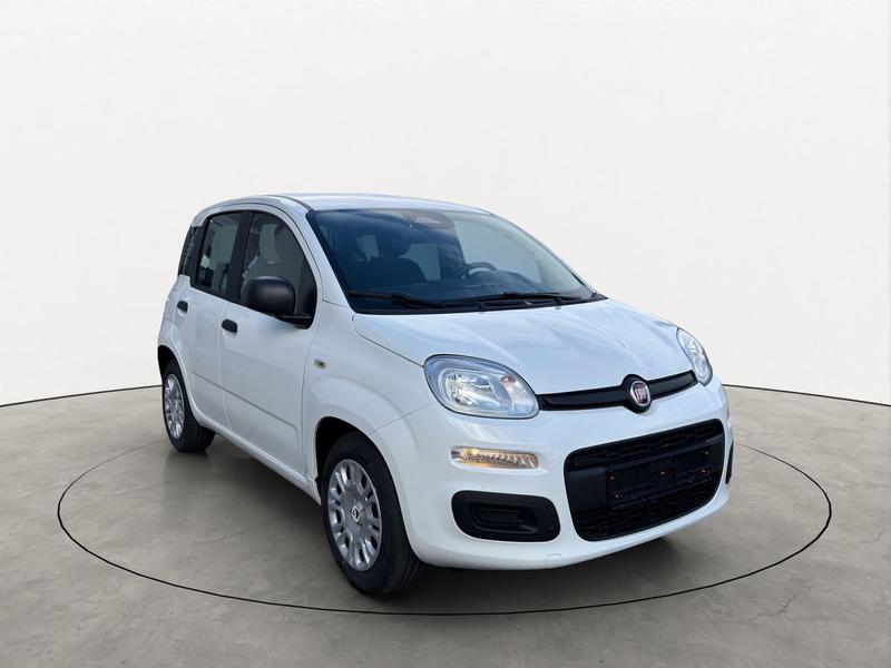 Fiat Pandina