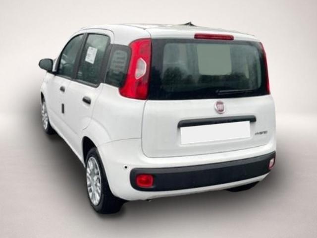 Fiat Andere