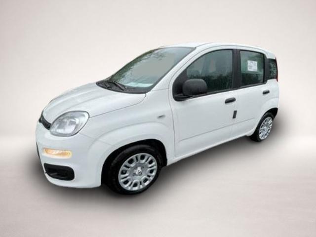 Fiat Andere