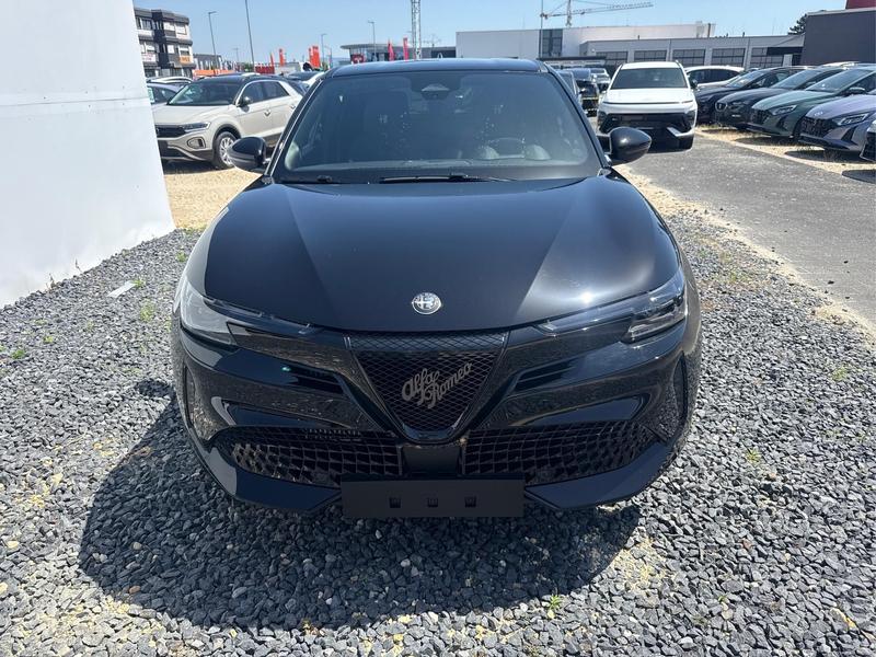 Alfa Romeo Junior