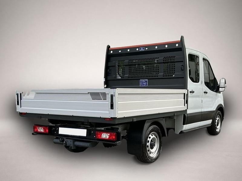 Ford Andere