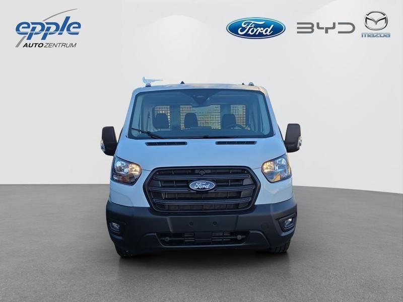 Ford Andere