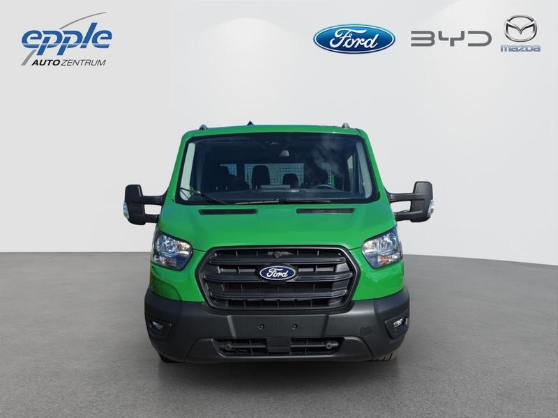 Ford Andere