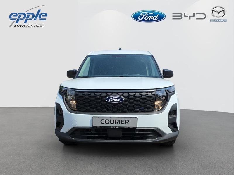 Ford Andere